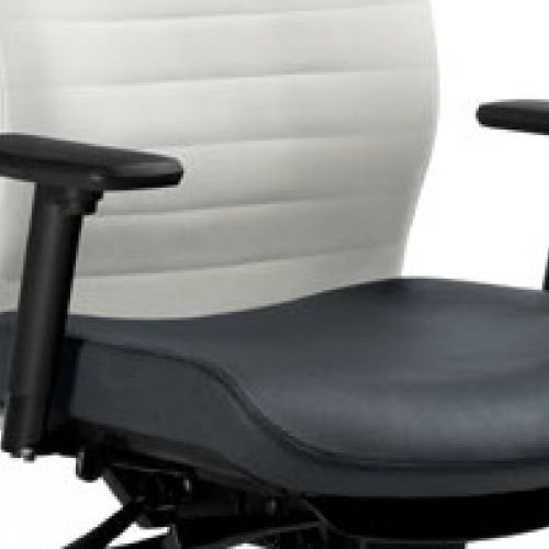 Excutive - Office Seating - ES09